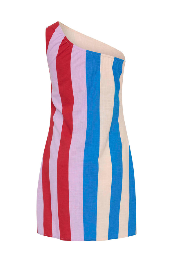 Minka Mini Dress In Naxos