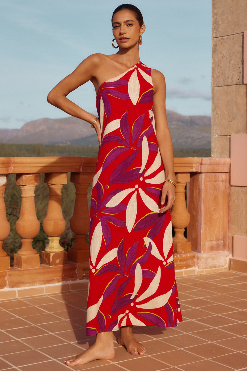 Minka Dress In Palma Mister Zimi